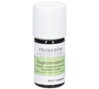 Pranarôm Huile Essentielle de Pruche 5 ml