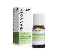 Pranarôm – Huile essentielle Eucalyptus polybractea CT cryptone Feuille 10 ml