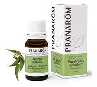 Pranarôm Huile essentielle Eucalyptus globuleux (Eucalyptus globulus) HECT 10 ml
