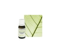 Pranarom Huile Essentielle Origan À Inflorescences Compactes Bio 10ml