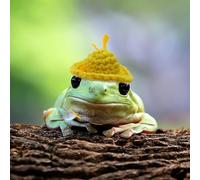 pranovo Lot de 3 chapeaux de grenouille avec mentonnière élastique réglable pour grenouille arbre, python, maïs, serpent, dragon barbu, reptile, petit animal domestique