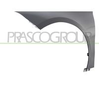 PRASCO Aile Avant Gauche Mercedes-Benz Classe A W177 V177 Non Peinte