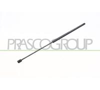 PRASCO Amortisseur De Capot 250 N Gauche Droite Pour Alfa Romeo 159 Sportwagon