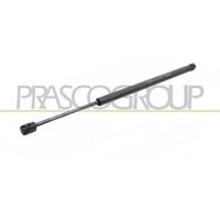 PRASCO Amortisseur de Hayon 655N 465mm pour Ford Focus DAW DBW
