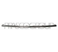 PRASCO Baguette décorative/de protection, pare-chocs VG6201255 hinten | Compatible avec: VW PASSAT CC B6