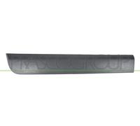 Baguette de Protection pour Porte arrière Droite - Noir