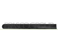 PRASCO Baguette décorative/de protection, porte FD9301454