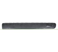 PRASCO Baguette décorative/de Protection, Porte RN9161403 vorne rechts | Compatible avec: RENAULT KANGOO, KANGOO Express