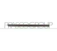 PRASCO Baguette décorative/de Protection, Porte VG0521453
