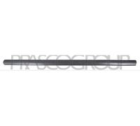 PRASCO Baguette décorative/de Protection, Porte VG9041403 Compatible avec: VW Caddy III Großraumlimousine, Caddy III Kasten/Großraumlimousine