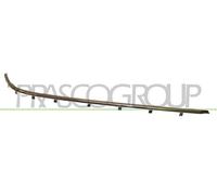 Baguette et bande protectrice, pare-chocs BLIC 5513-00-00659715P gauche