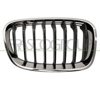 PRASCO BM1232023 Becquets Avant à Grille