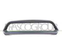PRASCO Cache, pare-chocs MN7061245