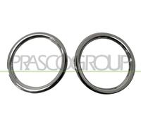 PRASCO Cache (phares antibrouillard) RN3291240