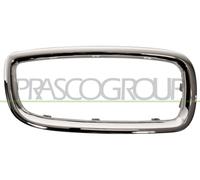 PRASCO Cadre, grille de radiateur BM0992333