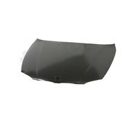 Prasco Capot Compatible Pour BMW 1Er E81 E87 BM1203130