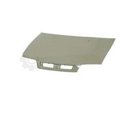 PRASCO Capot Compatible Pour Fiat Palio Weekend 178DX 178_ 178BX FT1133110