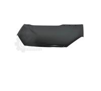 PRASCO Capot Compatible Pour Ford C-Max DM2 FD7173100
