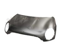 PRASCO Capot Compatible Pour MINI Mini R56 MN3083130
