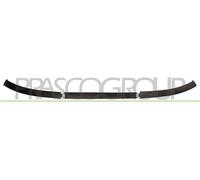 Prasco Spoiler avant BLIC 5511-00-0519220P / CI3221800