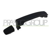 PRASCO DS8148017 Poignée de porte