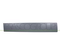 Baguette et bande protectrice, porte PRASCO DS9521453