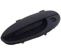 Poignée extérieure de porte PRASCO DW3208002