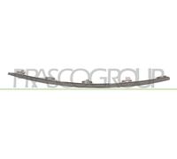 Prasco Enjoliveur/Protection, Grille de radiateur AD0361203 Compatible avec: Audi A6 C6, A6 C6 Avant