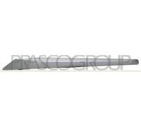 PRASCO Enjoliveur/protection, grille de radiateur BM0281224