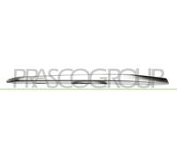 PRASCO Enjoliveur/protection, grille de radiateur BM0311223