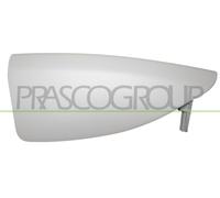 PRASCO Enjoliveur/protection, grille de radiateur JG8001244 | Compatible avec: JAGUAR F-PACE