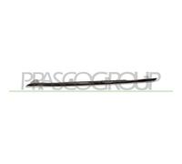 PRASCO Enjoliveur/Protection, Grille de radiateur ME0452214