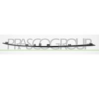 PRASCO Enjoliveur/protection, grille de radiateur ME0471244 Compatible avec: MERCEDES-BENZ E-CLASS, E-CLASS T-Model