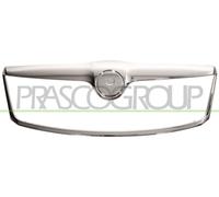 PRASCO Enjoliveur/protection, grille de radiateur SK0282305 | Compatible avec: SKODA OCTAVIA II, OCTAVIA II Combi