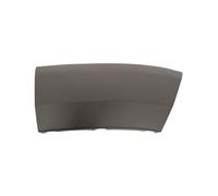 PRASCO Extension d'aile FT9301573 Compatible avec FIAT Ducato III Van 250, 290 Ducato III Camion plate-forme/Châssis 250, 290 Ducato III Minibus 250, 290