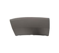 PRASCO Extension d'aile FT9301574 Compatible avec FIAT Ducato III Van 250, 290 Ducato III Camion plate-forme/Châssis 250, 290 Ducato III Minibus 250, 290
