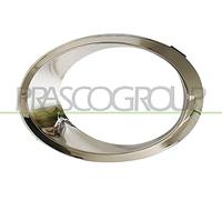 Prasco FD1141250 - Cadre, projecteur antibrouillard