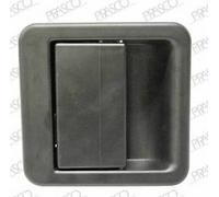 PRASCO FT9198301 Poigne de porte 9101-E6