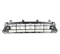 PRASCO Grille d'aération, pare-chocs MN7062110 | Compatible avec: MINI COUNTRYMAN