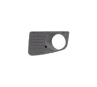 PRASCO Grille d'aération, pare-chocs VG9522134 Compatible avec: VW CRAFTER 30-35 Bus, CRAFTER 30-50 Kasten, CRAFTER 30-50 Pritsche/Fahrgestell