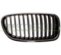 PRASCO Grille de radiateur BM0482003