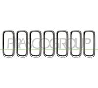 PRASCO JE1002206 Baguettes de calandre