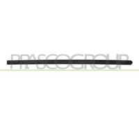 PRASCO OP0301413 Baguette et bande protectrice porte avant droite noir Compatible avec OPEL Corsa C 3/5 portes X01 Corsa C Van X01, VAUXHALL Corsa Mk II C 3/5 portes X01