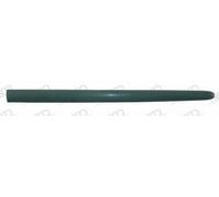 PRASCO PG0091403 Baguette et bande protectrice porte avant droite Compatible avec PEUGEOT 206 SW 2E/K