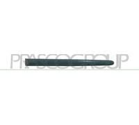 PRASCO PG0091454 Baguette et bande protectrice porte arrière gauche Compatible avec PEUGEOT 206 SW 2E/K