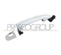 PRASCO Poignée de porte CI5238004