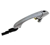 PRASCO Poignée de porte JE0228006