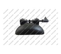 PRASCO Poignée de porte PG0098107 Compatible avec: PEUGEOT 206 CC, 206 Schrägheck, 206 Stufenheck, 206 SW, 206 Van