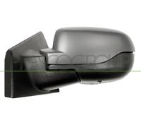 PRASCO RN3277324P Rétroviseur extérieur chauffant ajustable de l'intérieur avec capteur de température Rabattable électriquement gauche Compatible avec RENAULT Clio III 3/5 portes BR0/1, CR0/1
