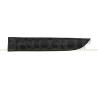 PRASCO RN4241454 Baguette et bande protectrice porte arrière gauche noir